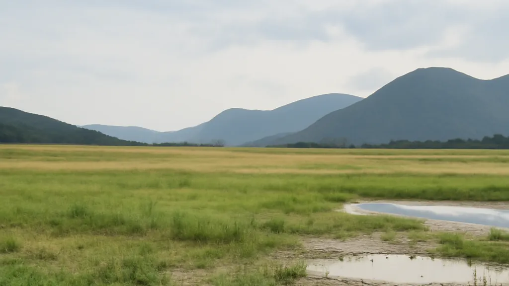 Une personne observe la vaste dépression du lac de Cerknica, partiellement recouverte d’eau après les pluies d’automne.